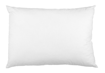Staph Check Pillow Standard